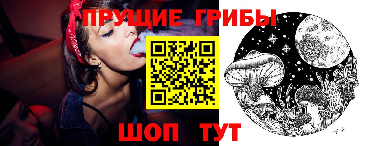 Семёнов  Галлюциногенные грибы GOLDEN TEACHER  Вход с VPN 
