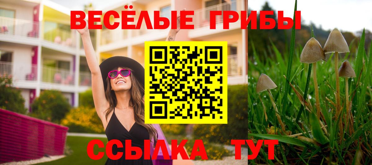 Псилоцибиновые грибы MAGIC MUSHROOMS Семёнов